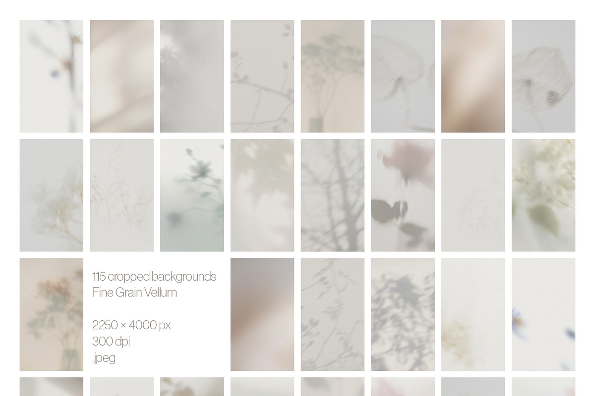 Blur Botanical Vellum Backgrounds, a Background Graphic by alonahaidash (Photo 10 of 14)