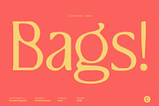 CS Brela Drawn, a Serif Font by Craft Supply Co. (Thumbnail 2 of 8)