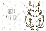 Deer antlers collection., an Animal Illustration by ArtOwl (Thumbnail 3 of 8)