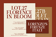 Movita Stylish Font Typeface, a Serif Font by OV Type (Thumbnail 10 of 10)