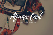 Wild Ones, a Script Font by Dikas Studio (Thumbnail 7 of 8)