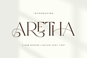 Aretha - Modern Serif Font, a Serif Font by Aqeel_Art (Thumbnail 1 of 12)