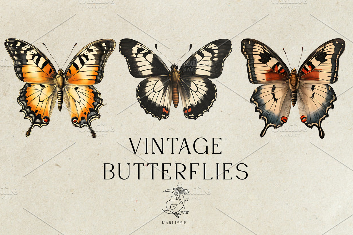 Vintage Butterflies, an Animal Illustration by Karliefie (Photo 1 of 5)