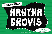 Hantra Grovis - Groovy Font