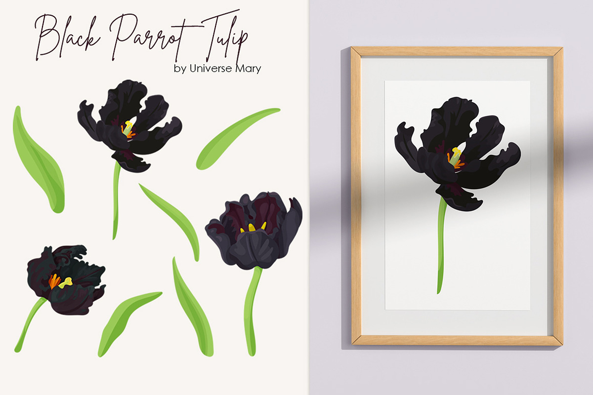 Black Parrot Tulip flower Vector, a Seasonal Illustration by Universe Mary (Photo 3 of 7)