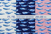 Watercolor Whales & Patterns, an Animal Illustration by ZiziMarket (Thumbnail 2 of 3)