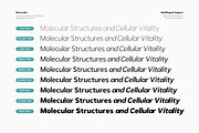 Alera Labs - Scientific Humanistic, a Sans Serif Font by productype1 (Thumbnail 12 of 12)