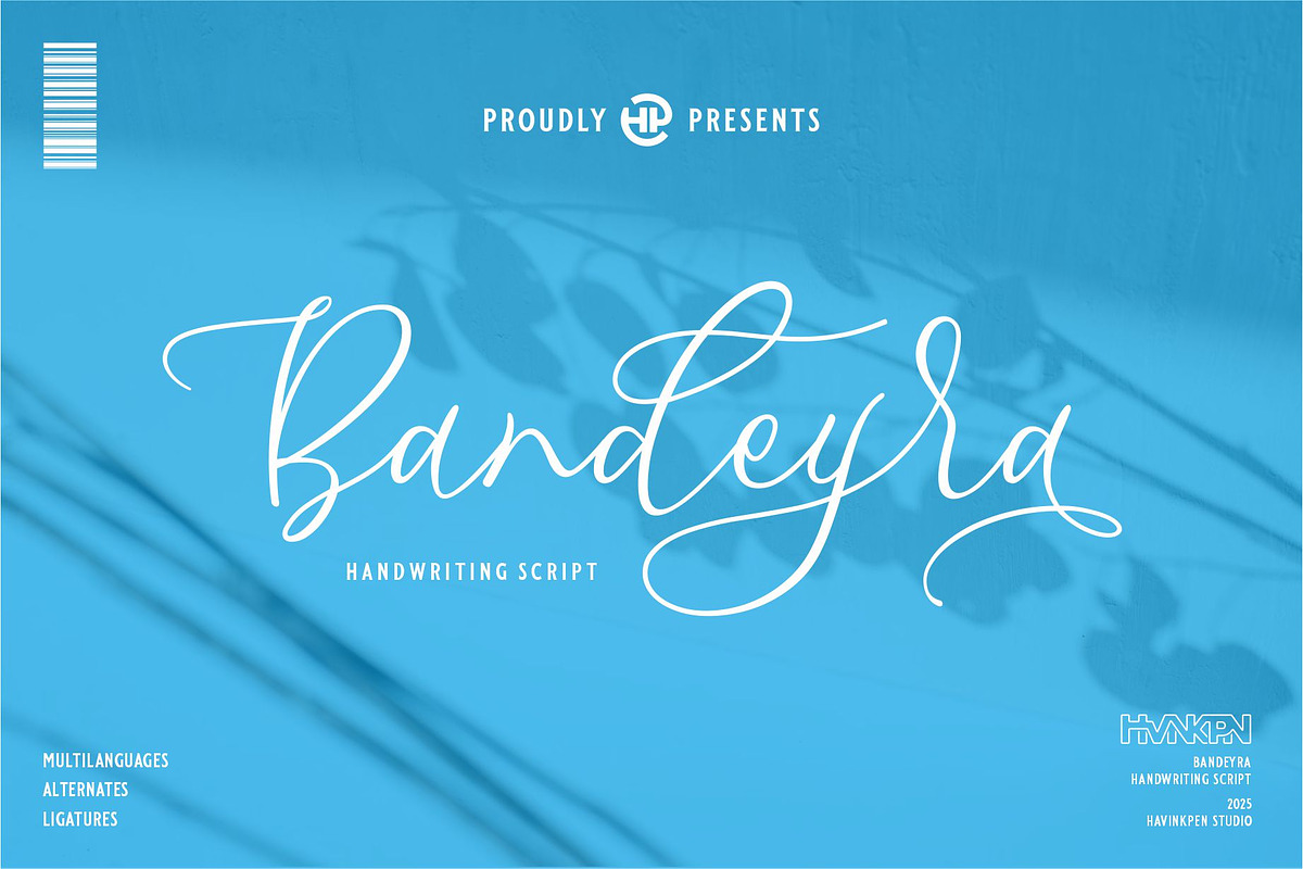 BANDEYRA | Handwriting Script, a Handwritten Font by Havinkpen (Photo 1 of 7)