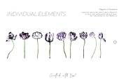 Luxury Tulipan Floral Seamless Print, a Pattern Graphic by TSTUDIO (Thumbnail 4 of 10)