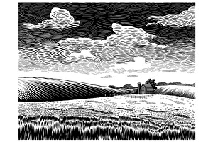 Grassy Farm Field