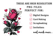 Valentine's Rose Clipart, an Illustration by OK Design (Thumbnail 5 of 6)