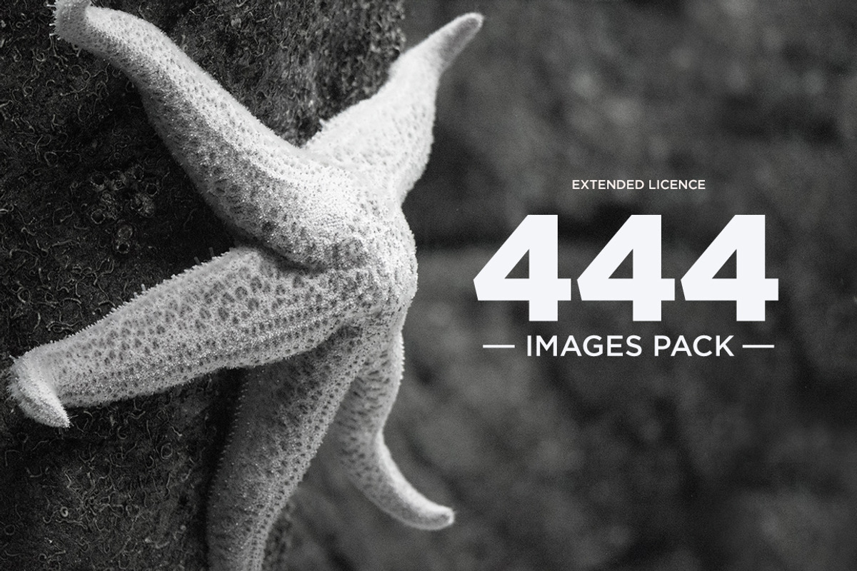 444 Images Pack | Extended Licence, a Graphic by DesignSomething