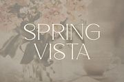 Salve - Elegant Serif + Cyrillic, a Serif Font by VP Fonts (Thumbnail 11 of 20)