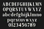 Fodera Elegant Expressive Modern, a Serif Font by OV Type (Thumbnail 9 of 10)