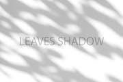 Leaves Shadow on Wall Background., a Background Graphic by kaisorn (Thumbnail 7 of 8)