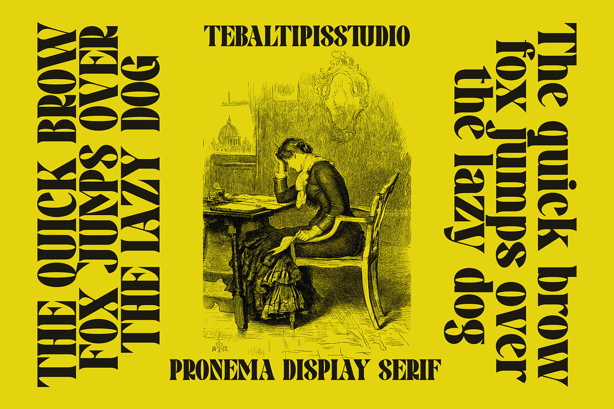 Pronema - Modern Serif, a Serif Font by tebaltipislab (Photo 9 of 13)
