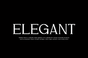 Wefalor - Modern Serif Font, a Script Font by QR Design Studio (Thumbnail 3 of 12)