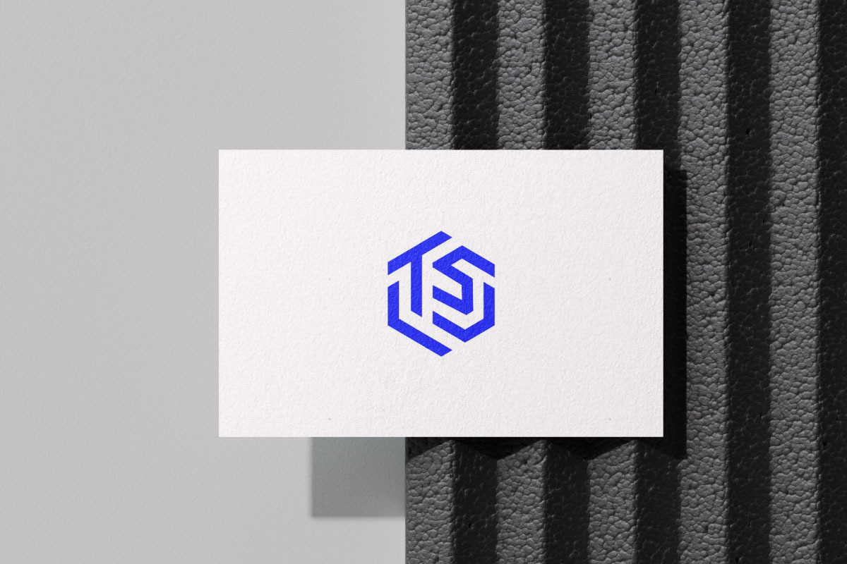 TS Monogram Logo - Modern & Geometric preview 2