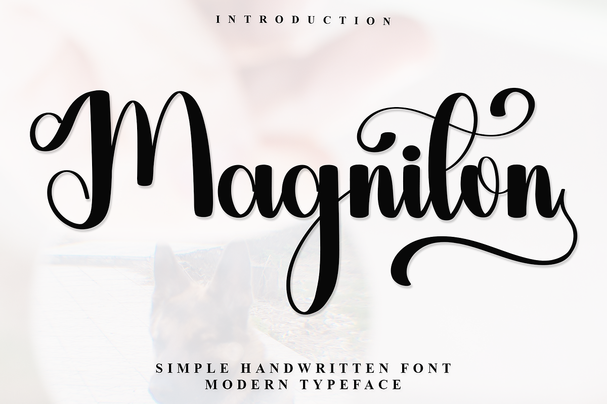 Magniton, a Handwritten Font by InermediaSTUDIO (Photo 1 of 7)