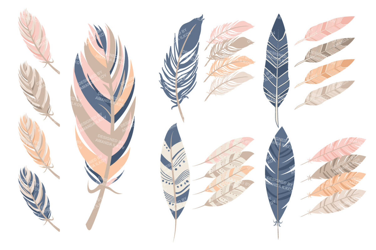 Navy & Blush Feather Vector Clipart, an Illustration by Amanda Ilkov (Photo 4 of 4)