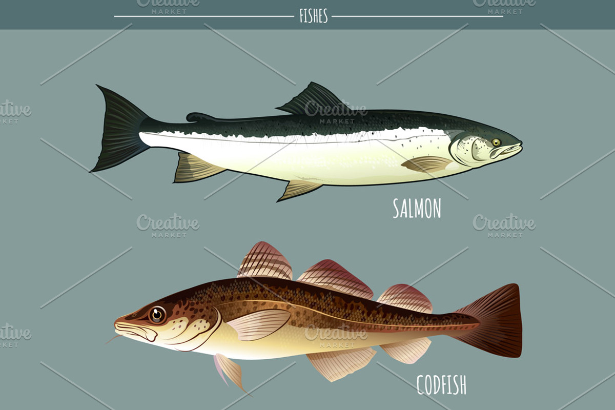 Seafood Vector Pack, an Object Graphic by ConceptCafe (Photo 2 of 4)