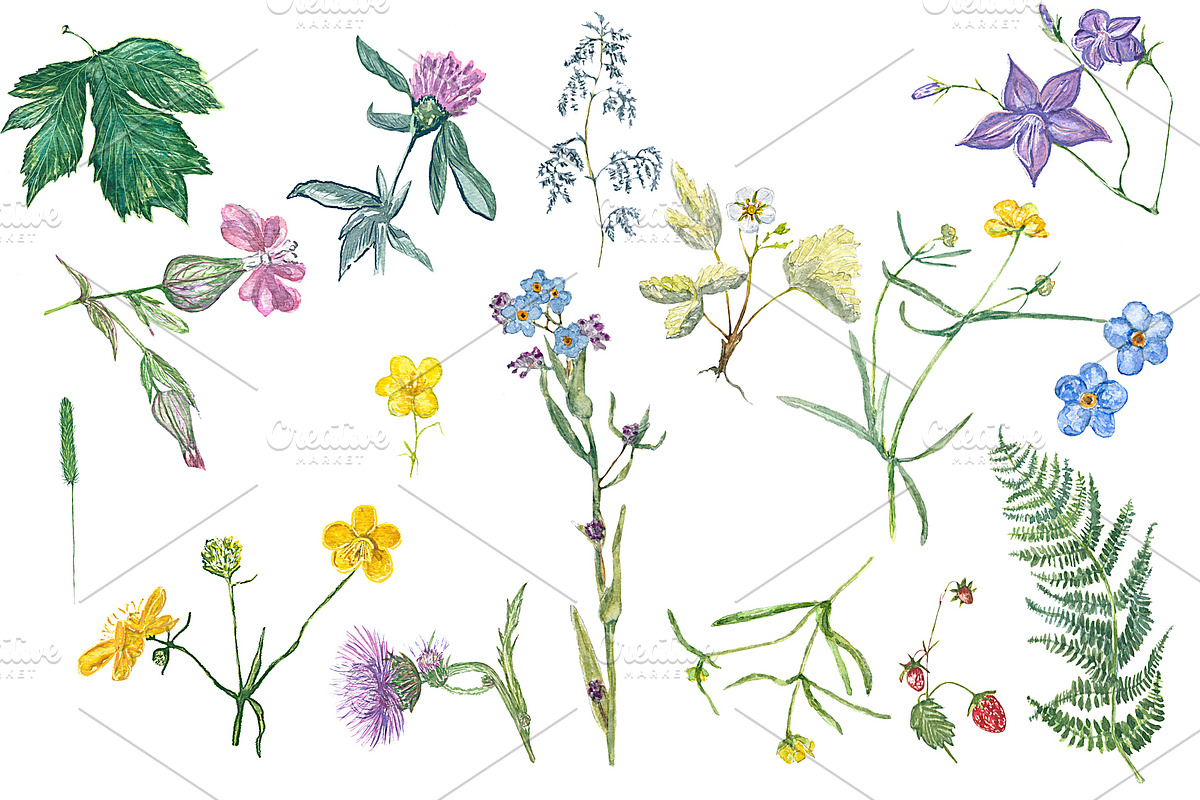 Watercolor grass and wildflowers, an Object Graphic by JuliaFast (Photo 5 of 6)