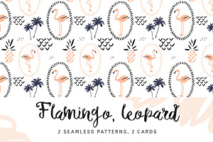 Flamingo, leopard