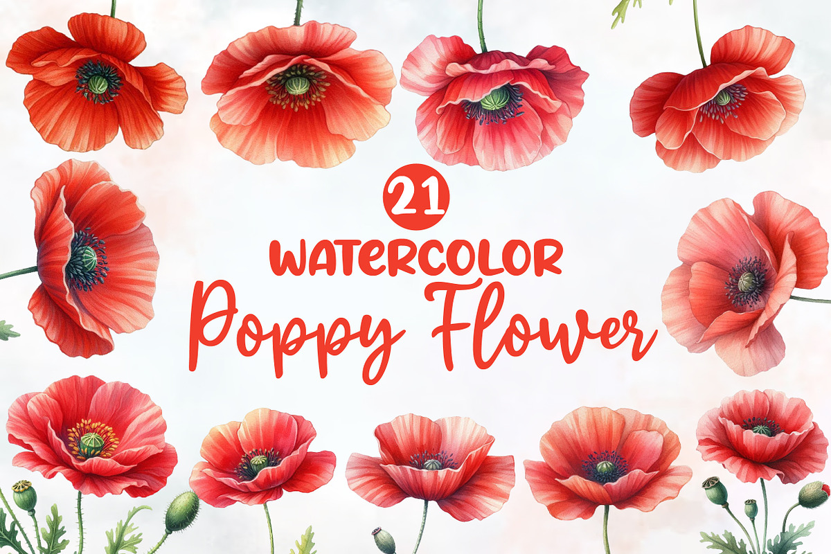 Watercolor Poppy Flower clipart, an Illustration by Designworld (Photo 1 of 5)