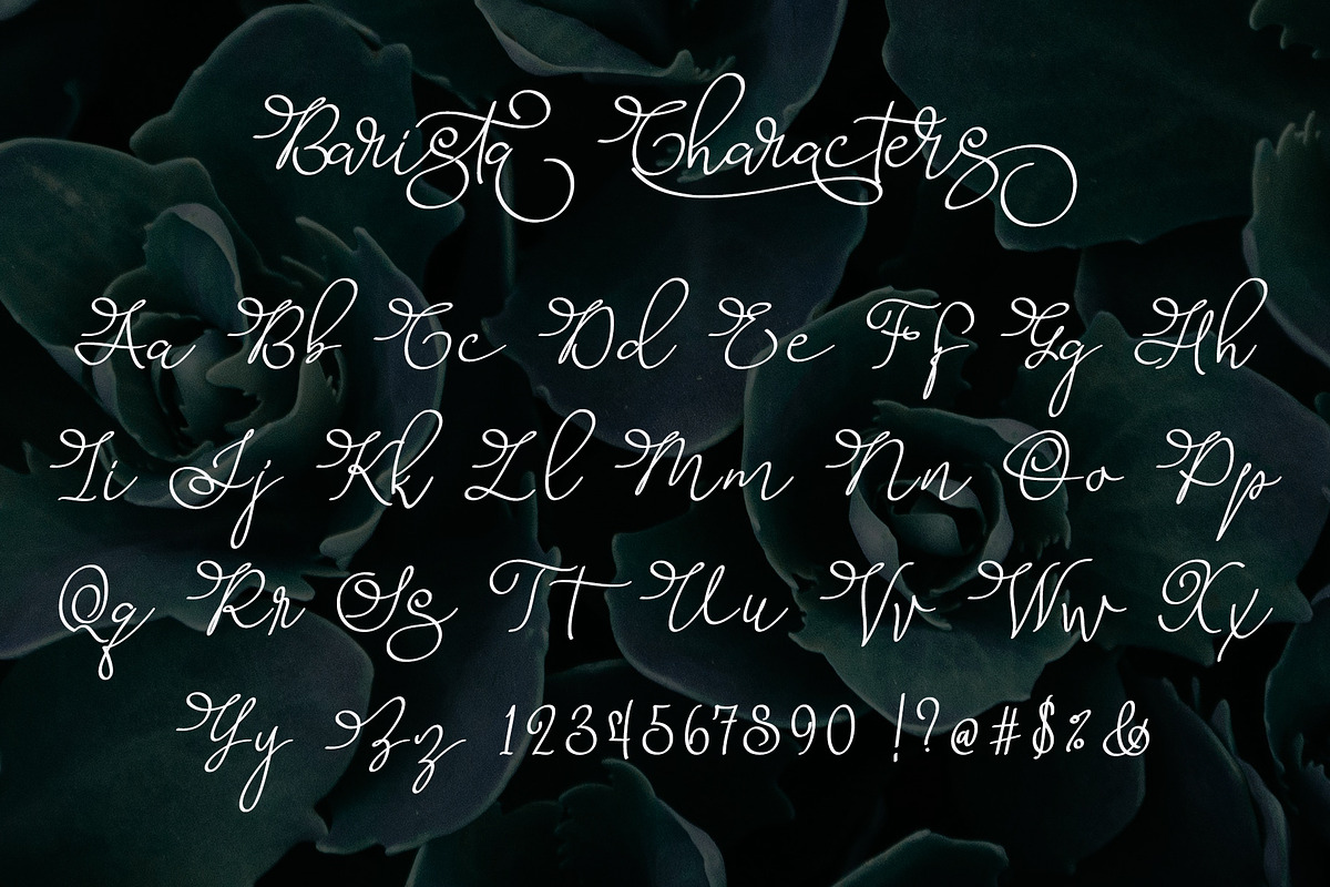 Barista Script preview 5