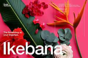 Ikebana Botanical Asset Collection