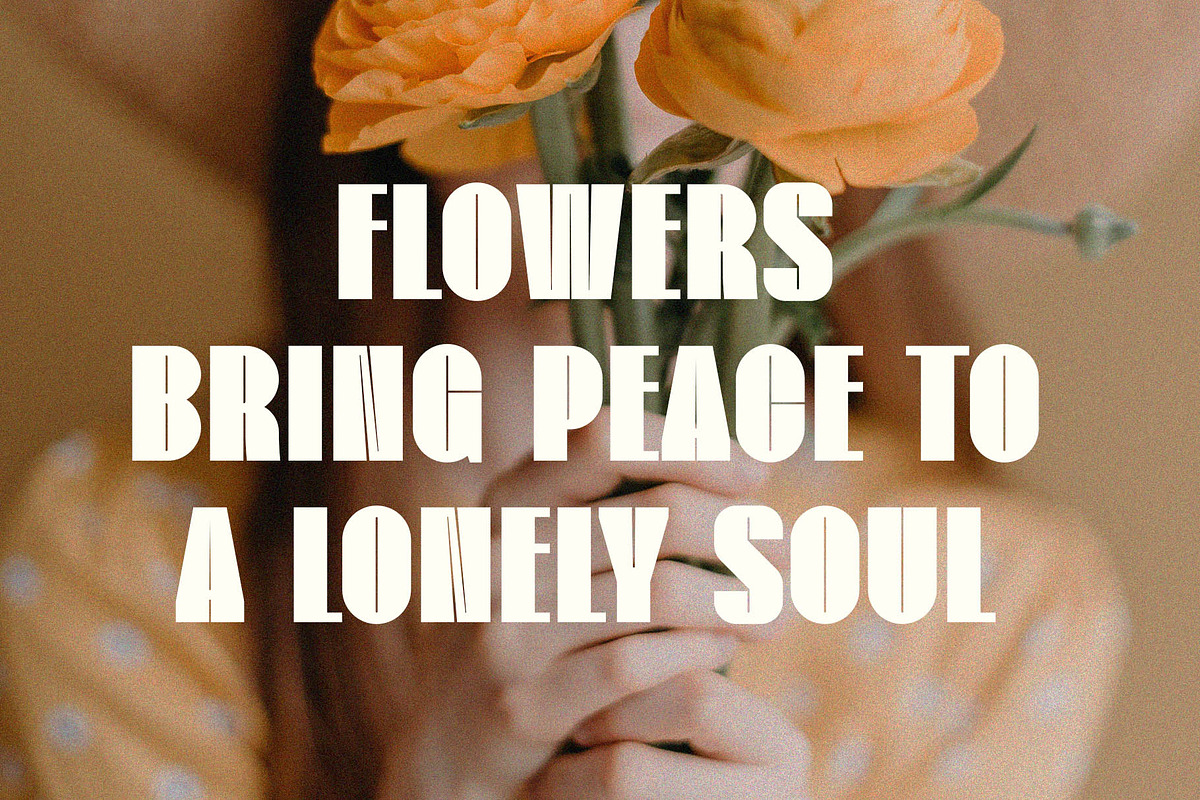 Flower Sans Serif Font, a Sans Serif Font by Graphicxell (Photo 2 of 5)