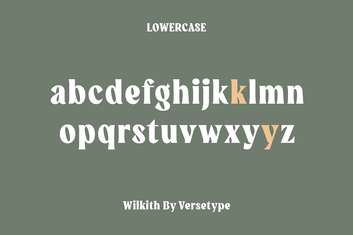 Wilkith Bold Serif, a Serif Font by Versetype (Photo 11 of 12)