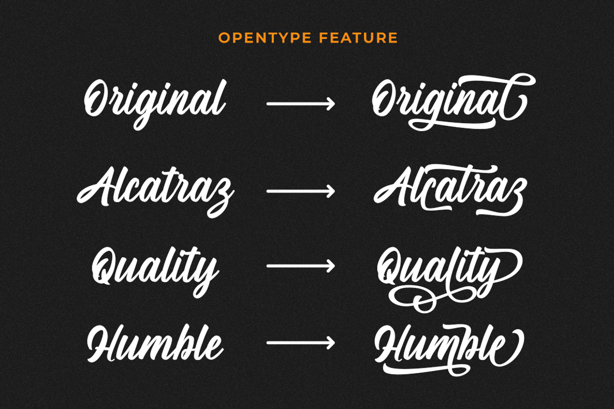 Hasdina Script, a Script Font by Beautypes (Photo 4 of 7)
