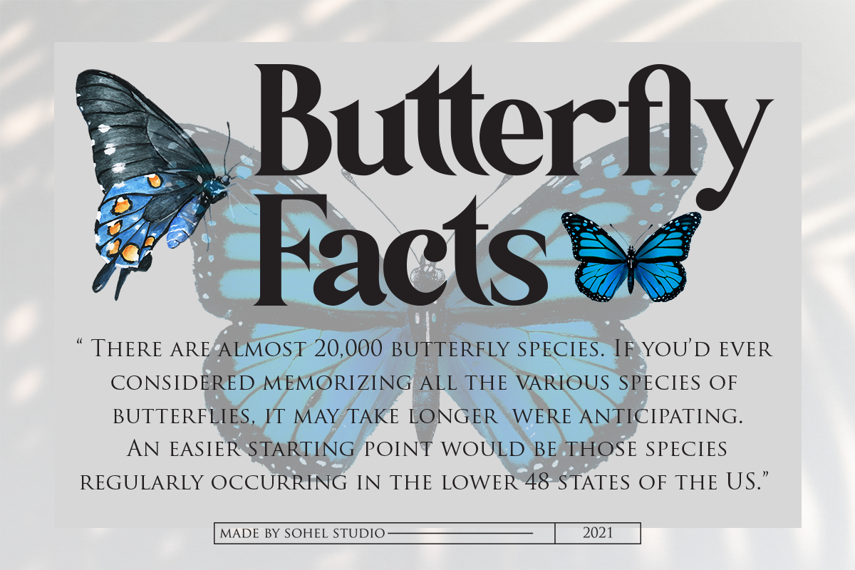 Botanist | Modern Serif, a Serif Font by Sohel Studio (Photo 5 of 15)