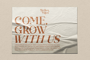 Brown Falco Classy Serif Font