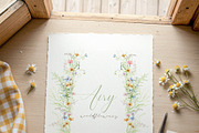 Watercolor AIRY WILDFLOWER Clipart, a Decorative Illustration by Beigetime (Thumbnail 15 of 16)