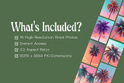 19 Pastel Palm Backgrounds, a Background Photo by Incomelion (Thumbnail 2 of 6)