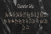 Open Sesame Retro Display Font, a Handwritten Font by The October Creative (Thumbnail 3 of 8)