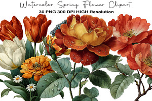 Watercolor Spring Flower Clipart, an Illustration by Black Bird Studio