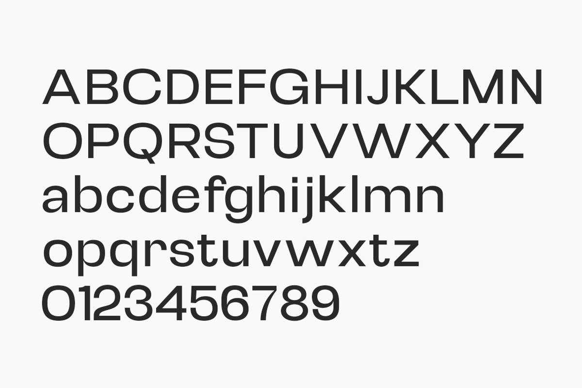 Selqova | Sans serif family, a Sans Serif Font by InkwellTypeCo (Photo 18 of 18)