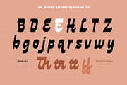 MN Jaybird - Bold Retro Script Font, a Script Font by Mantra Naga (Thumbnail 7 of 18)