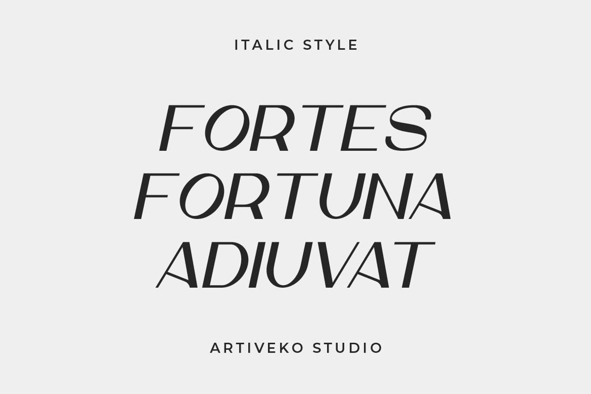 Elochia Luxury Sans, a Font by Artiveko (Photo 8 of 10)