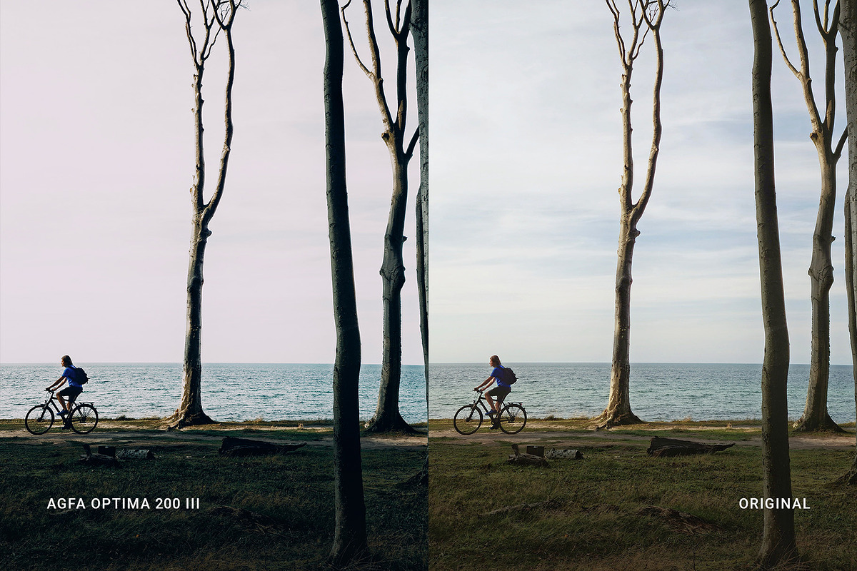 Agfa Optima 200 III, a Preset Add-On by colorituals (Photo 8 of 9)