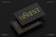 Frosty Garden - Elegant Retro Serif, a Serif Font by SilverStag Type Foundry (Thumbnail 9 of 19)