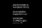 Blizter – Elegant & Stylish Serif, a Serif Font by Dikas Studio (Thumbnail 8 of 12)
