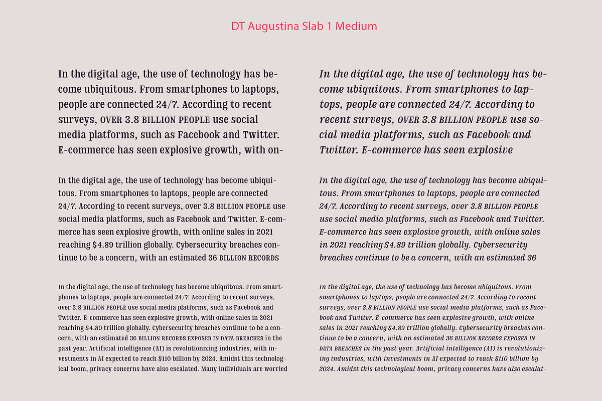 DT Augustina Slab 1 Subfamily, a Slab Serif Font by Deveze Type Foundry (Photo 10 of 31)