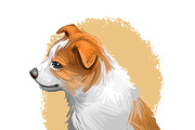 Puppies Dog Breeds Big Bundle 135Pcs, an Animal Illustration by Dneprstock (Thumbnail 50 of 68)