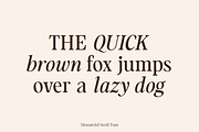 Mountriel - Classic Modern Serif, a Serif Font by Typetemp Studio (Thumbnail 11 of 22)