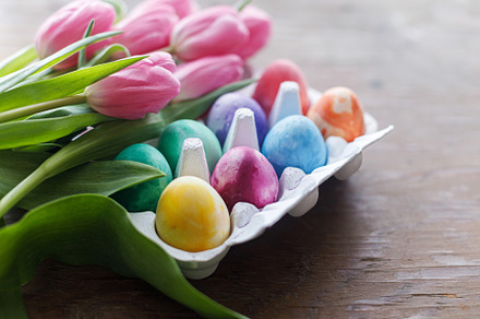 Happy Easter! Colorful easter eggs in tray with pink tulips  top, a Holiday Photo by Sonjachni