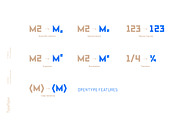 TT Bricks, a Sans Serif Font by TypeType (Thumbnail 4 of 13)